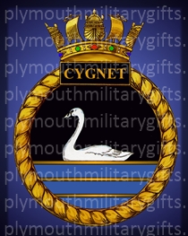HMS Cygnet Magnet